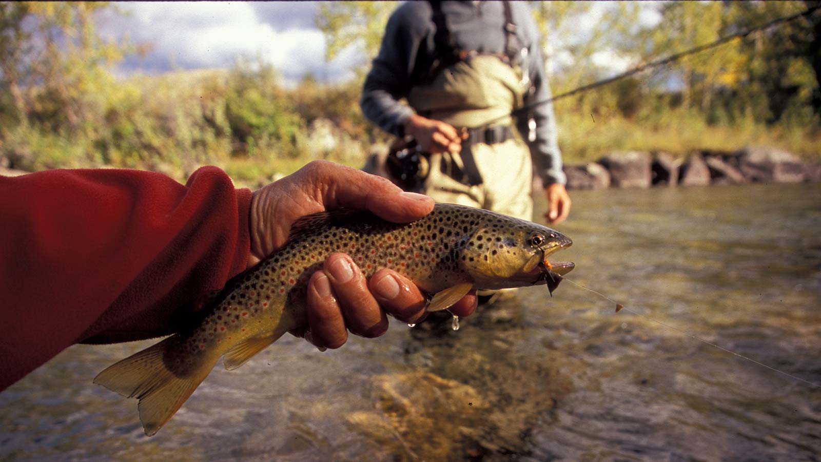 https://www.montanaflyfishingguides.com/wp-content/uploads/2016/05/fly-fishing-montana-stillwater-river-header.jpg