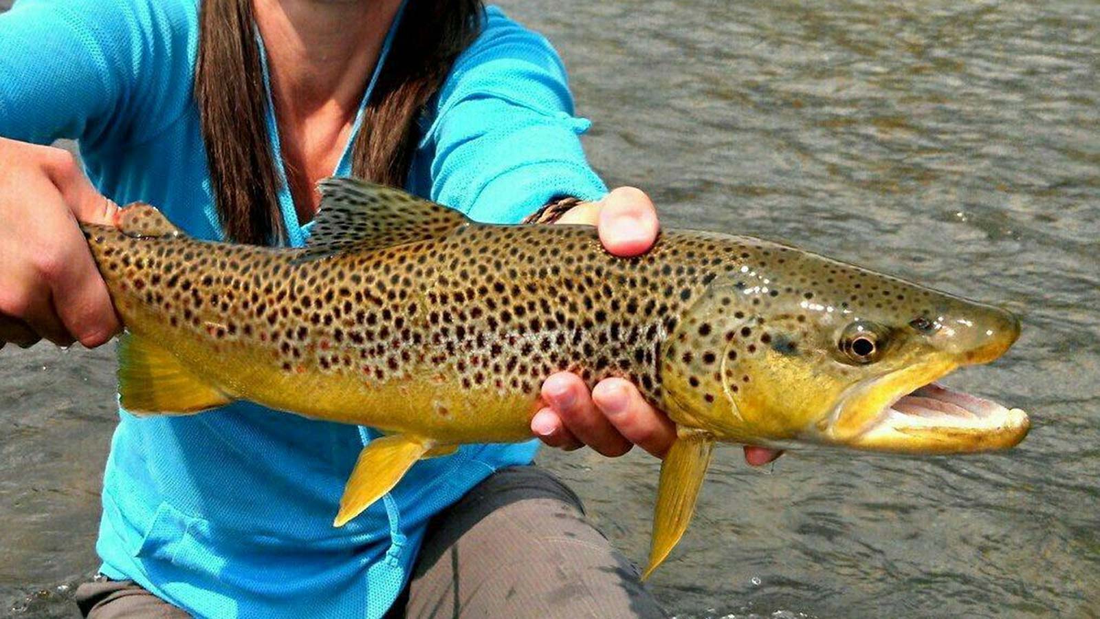 Fly Trout Fishing Guide Client Reviews